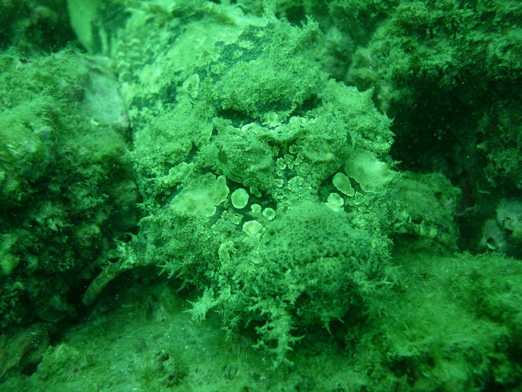 ひさしぶりの紫津浦