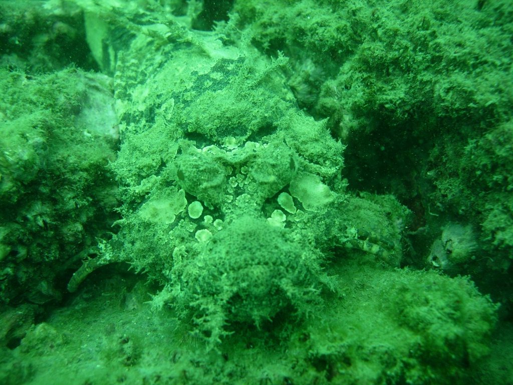 ひさしぶりの紫津浦