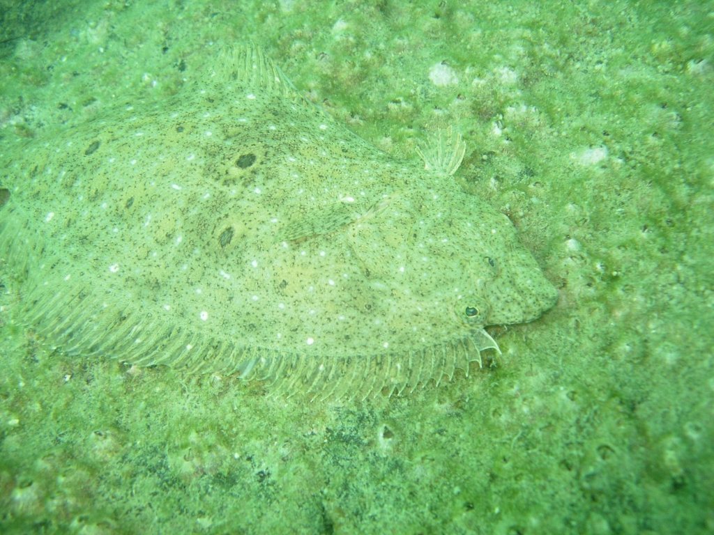 ひさしぶりの紫津浦