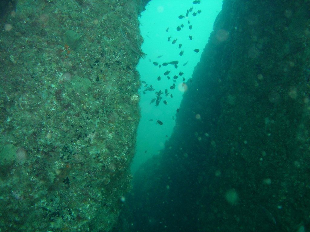 青海島船越クレパス初体験