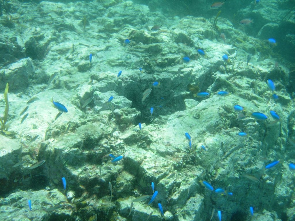 青海島船越クレパス初体験