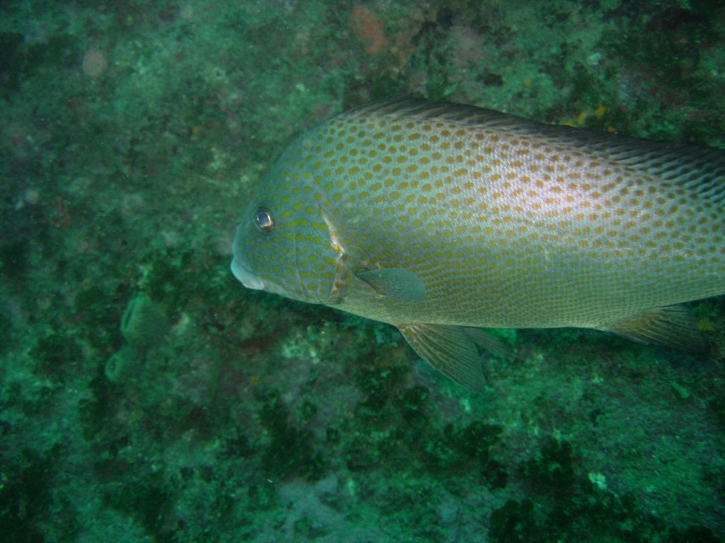 青海島船越クレパス初体験