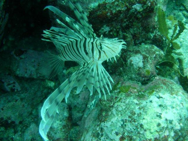 青海島船越クレパス初体験