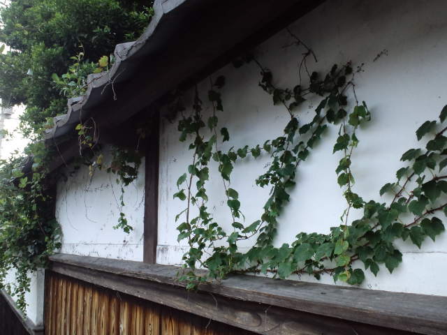10/3-4ﾌﾟｼﾞｮｰ山口社員旅行vo.1