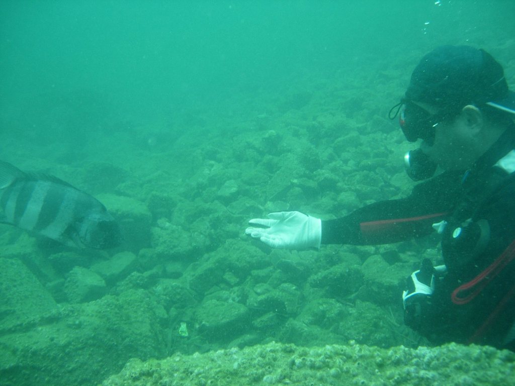 10/3-4ﾌﾟｼﾞｮｰ山口社員旅行vo.2