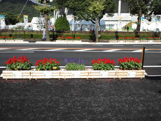 ２０１１おいでませ！山口大会