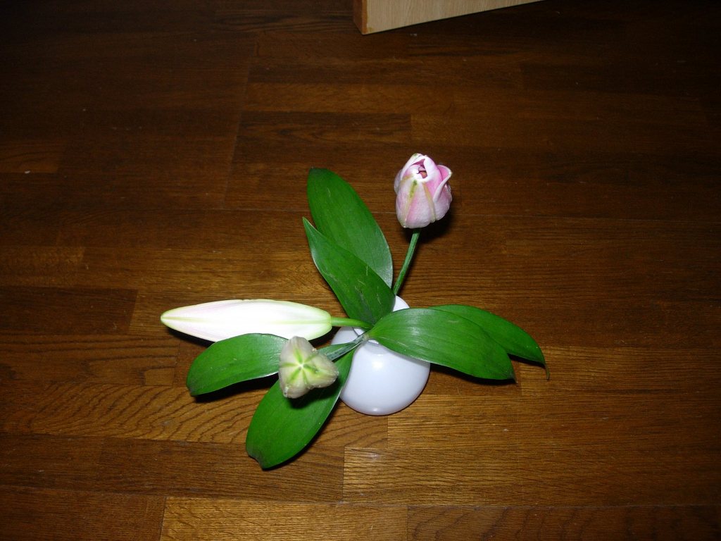ユリの花