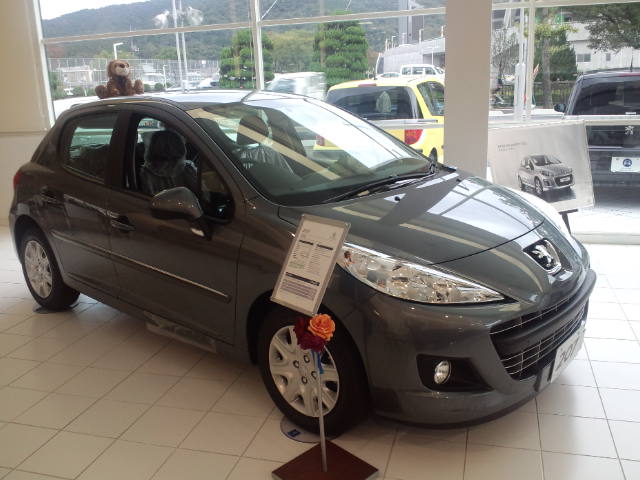 207 STYLE NL