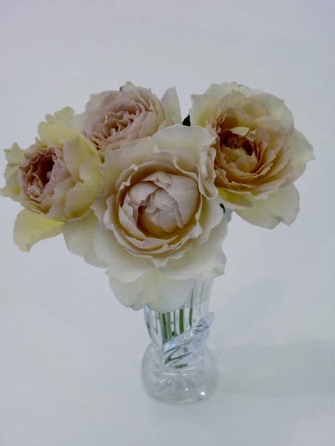 ☆素敵なバラのお花☆