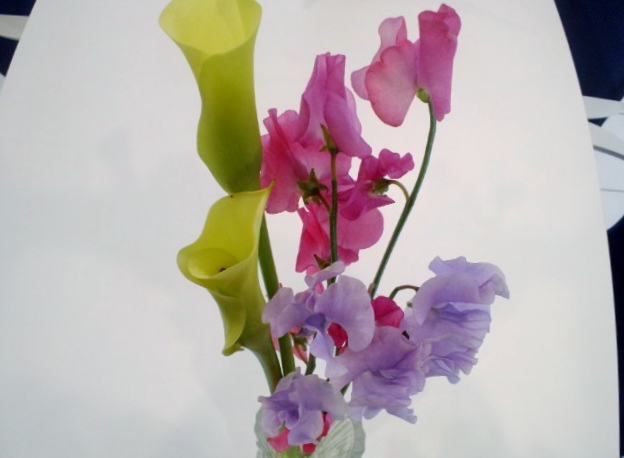 Showroom Flower