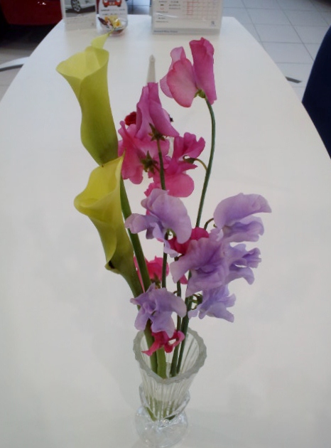 Showroom Flower