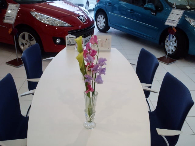 Showroom Flower