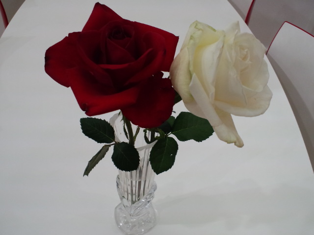 ショールームに薔薇
