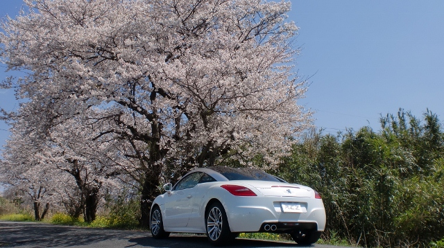 桜&RCZ君