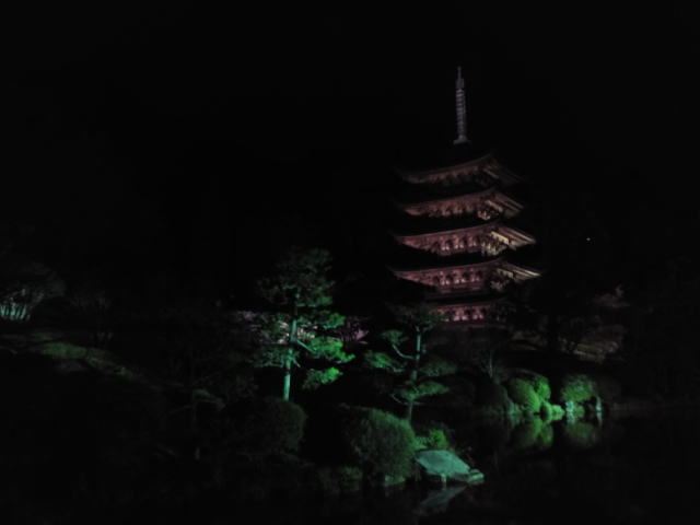夜桜も良いものですne
