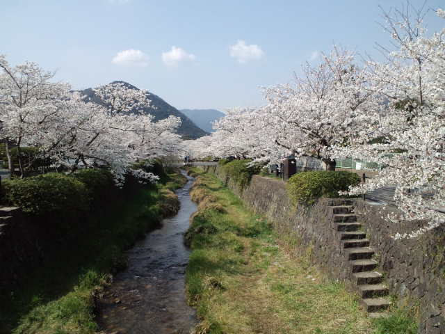 一の坂川を散歩
