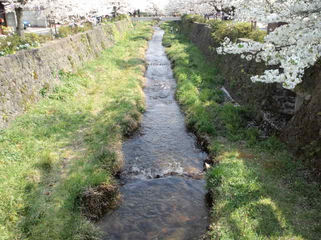 一の坂川を散歩