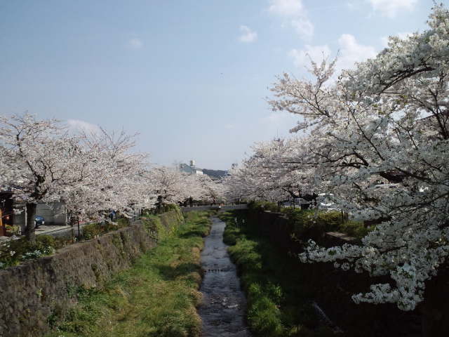 一の坂川を散歩