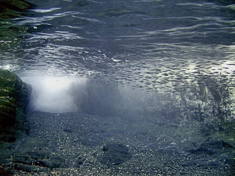 青海島左の瀬とダンゴ３匹