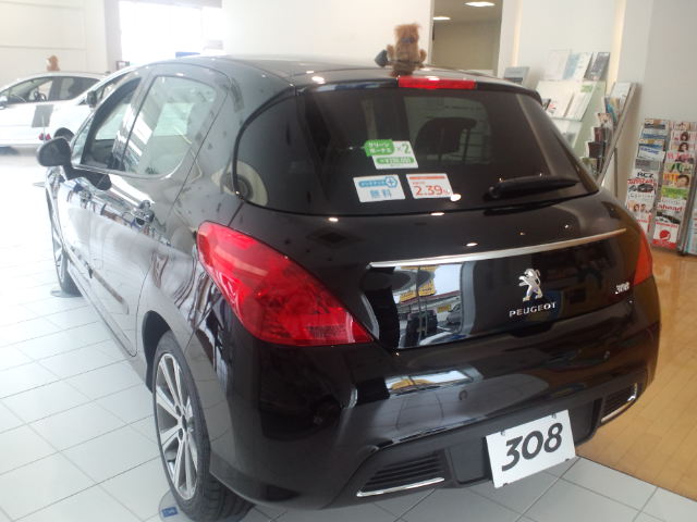 NEW FACE 308 SPORTIUM