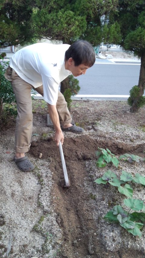 Bonberも手伝いました...