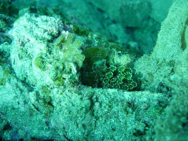 青の世界で紹介されたのですが...