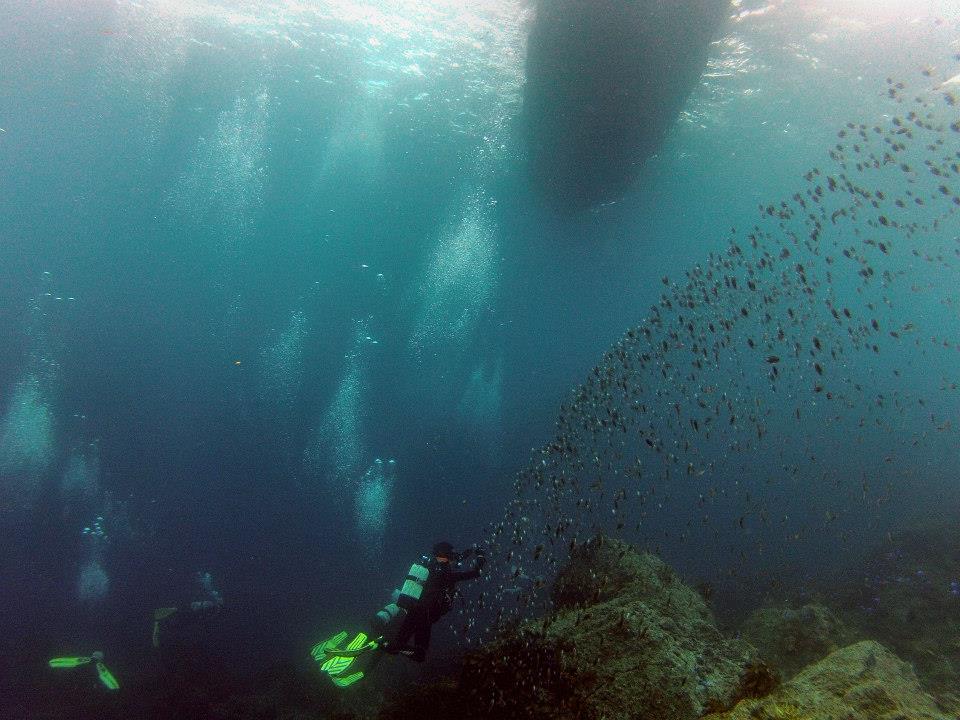 「相島ブルー」