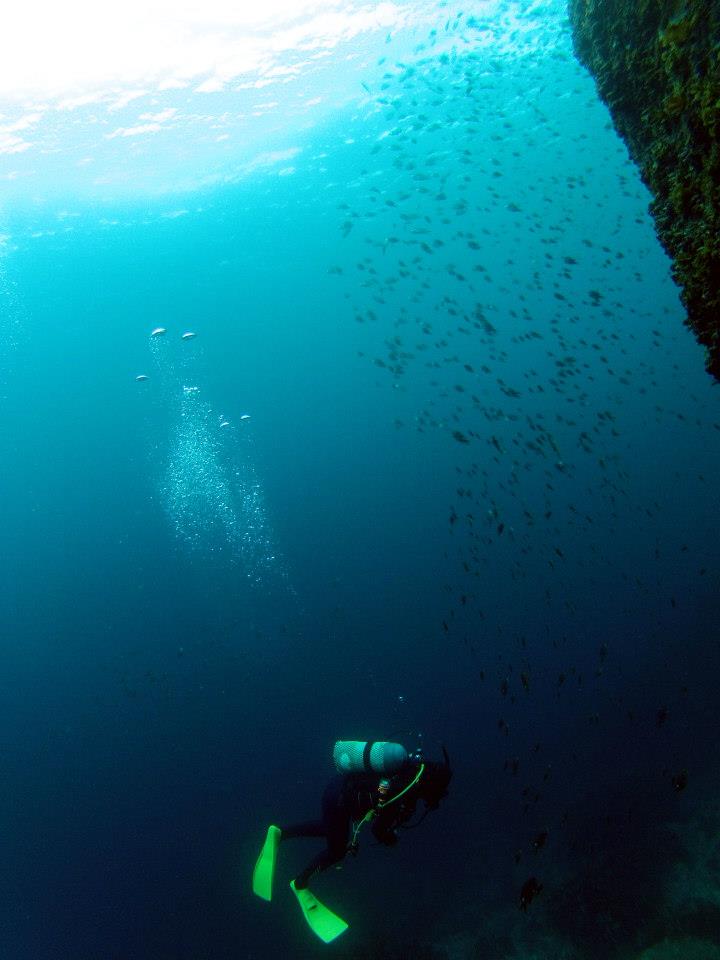 「相島ブルー」