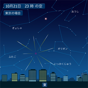 2012　ｵﾘｵﾝ座流星群　♪