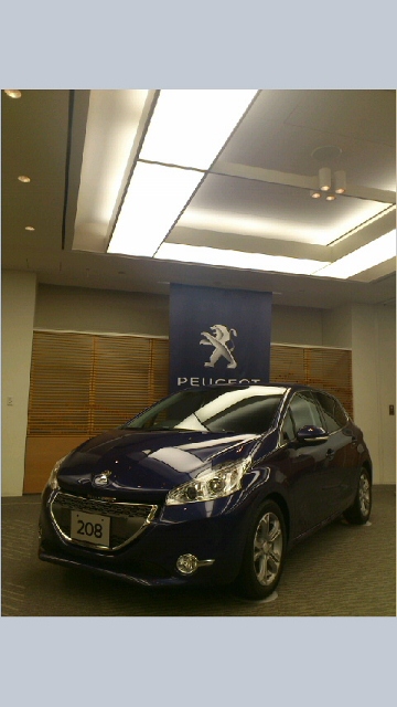 208　Calado　Blue