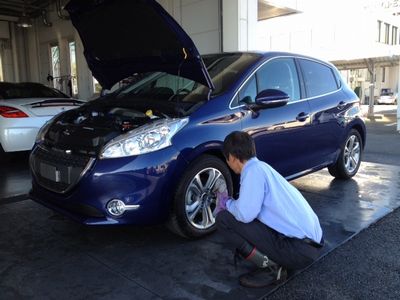 208　Calado　Blue