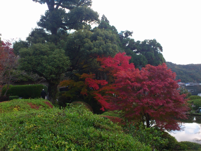 紅葉は...