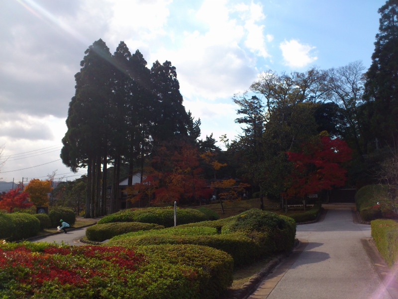 紅葉は...