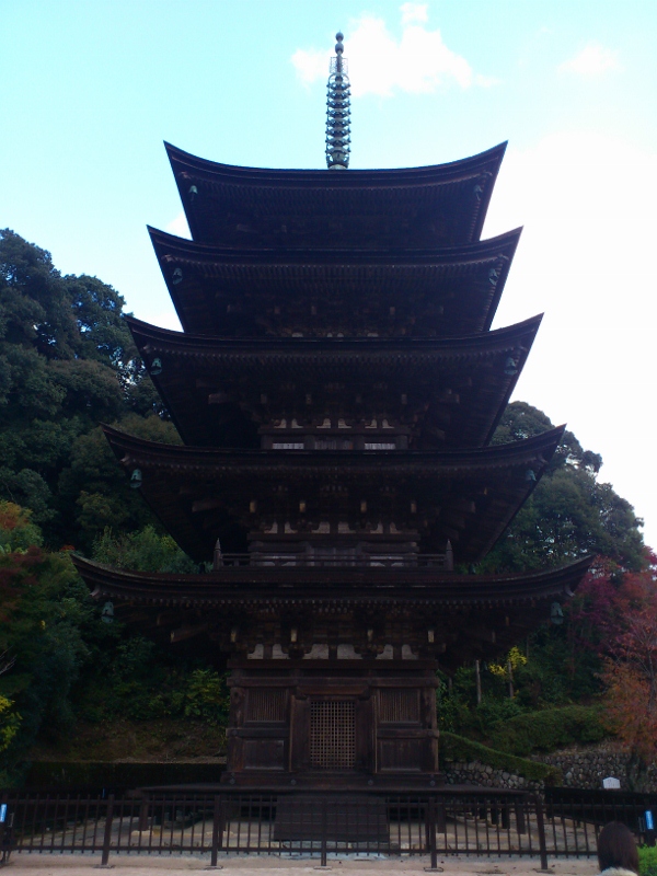 紅葉は...