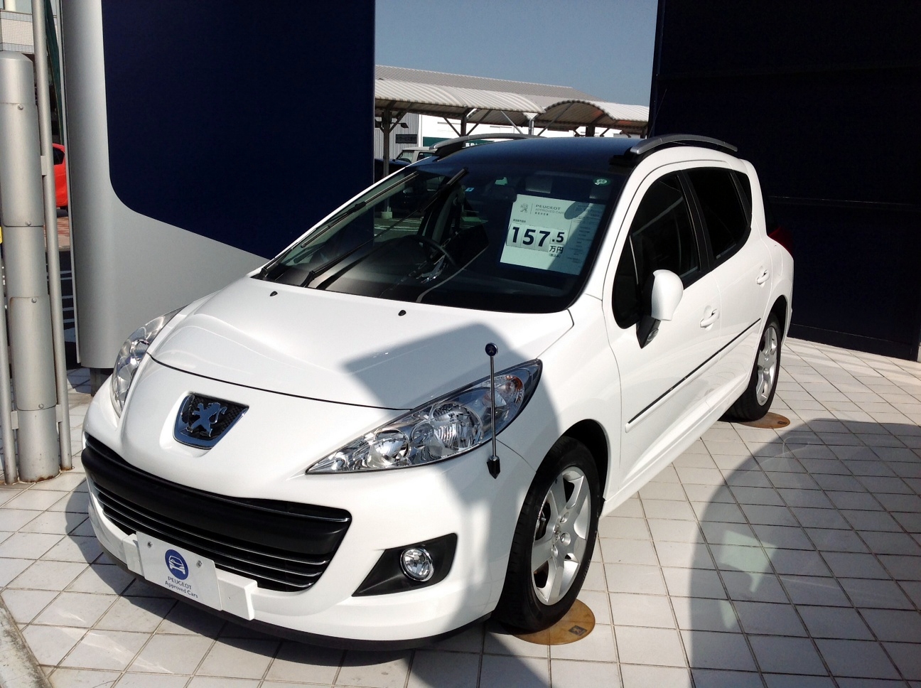 207SW　Bianca White