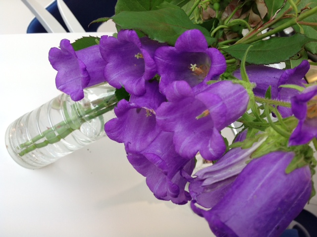 素敵なお花をありがとう