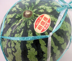 お客様より頂きました!!