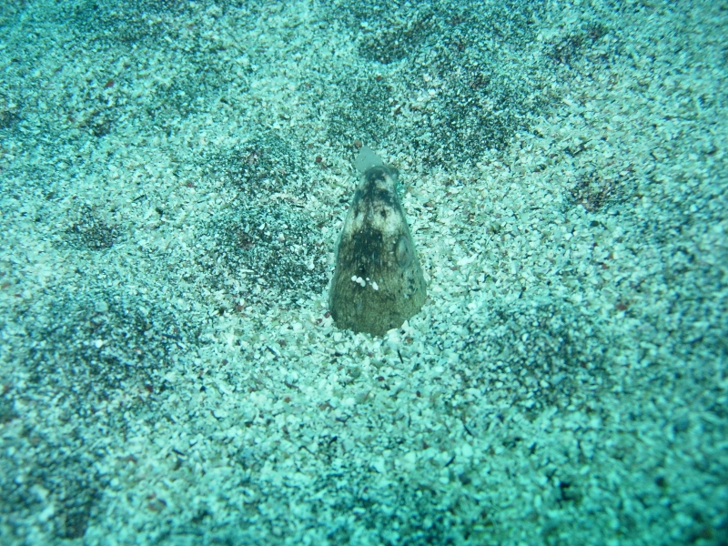 青海島海の中の砂漠