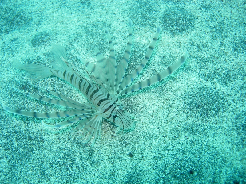 青海島海の中の砂漠