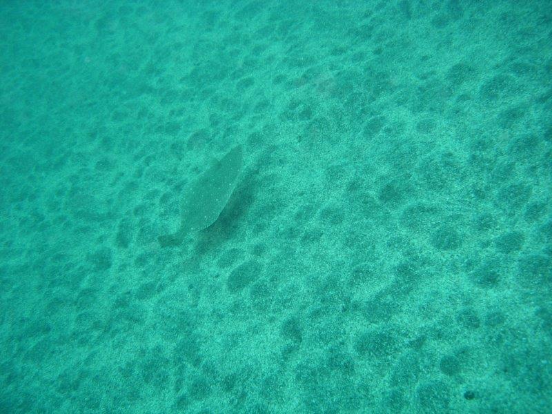 青海島海の中の砂漠