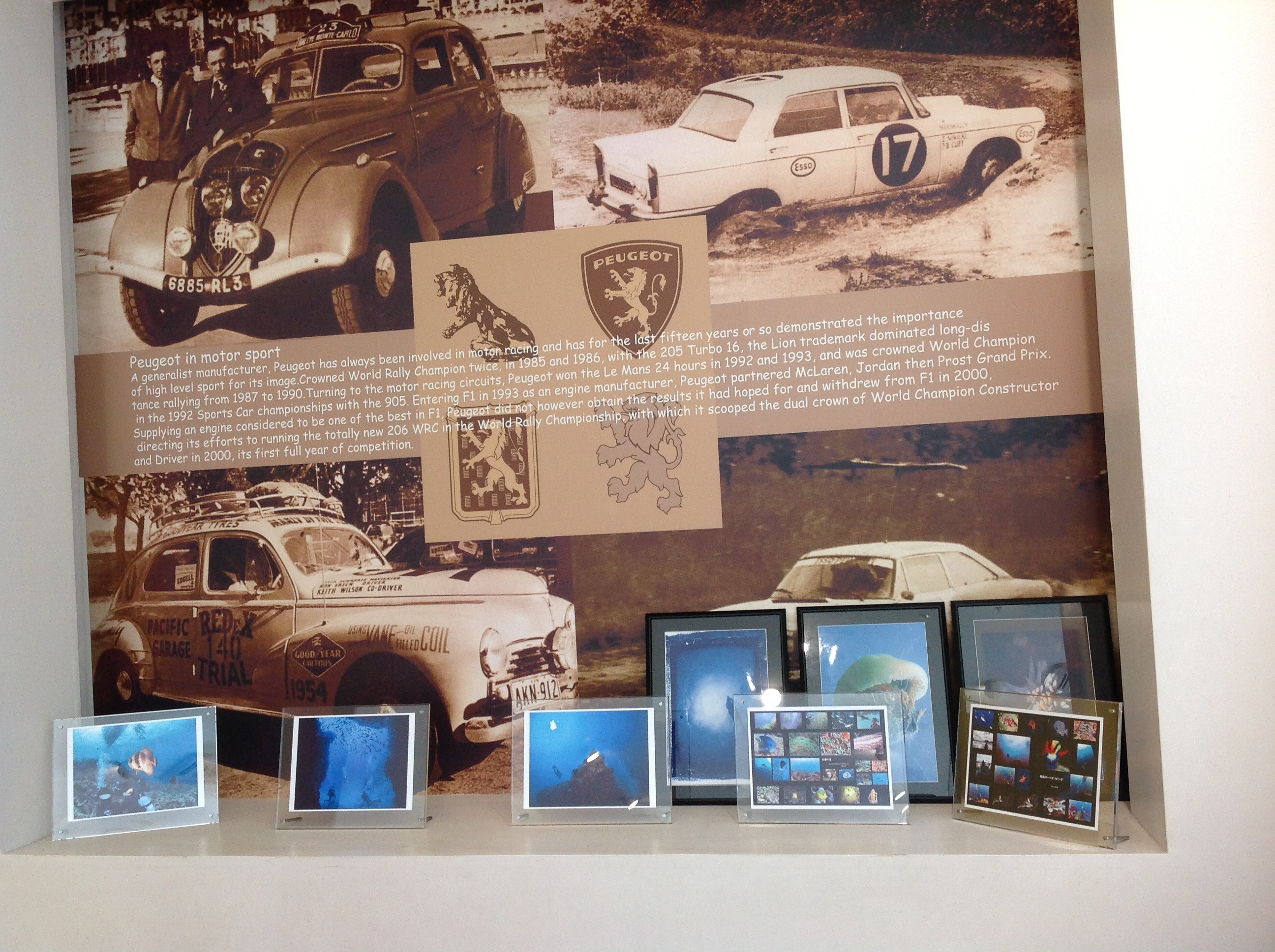 PEUGEOT  BOUTIQUE  OPEN