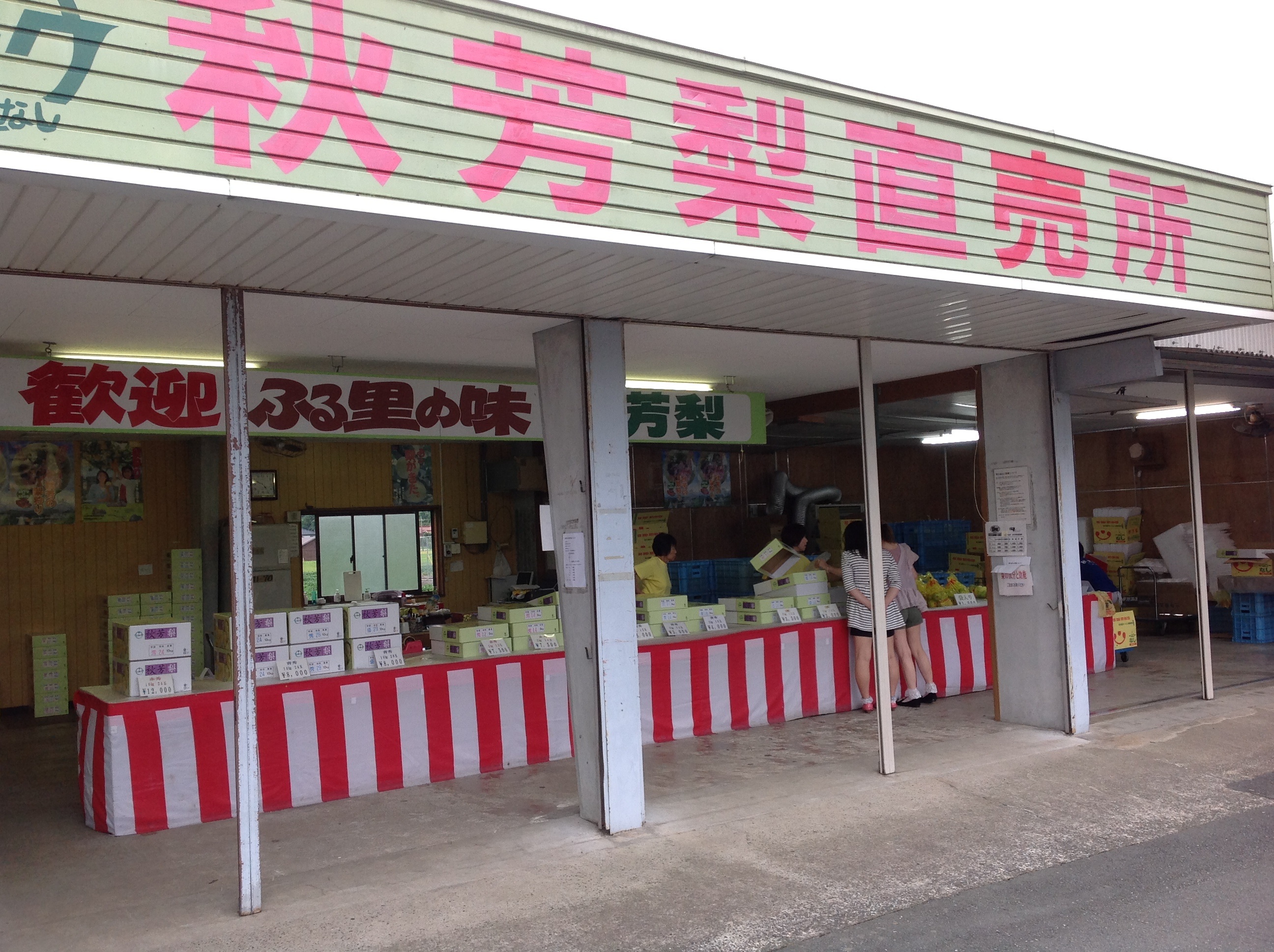 今年初物の秋芳梨GET