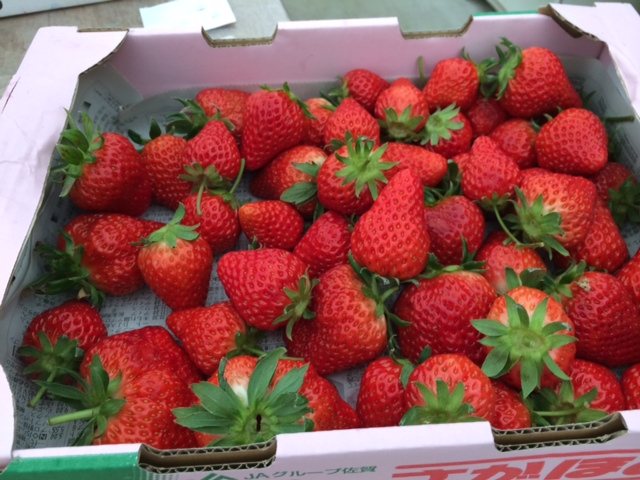 休日の一コマ　vol.69