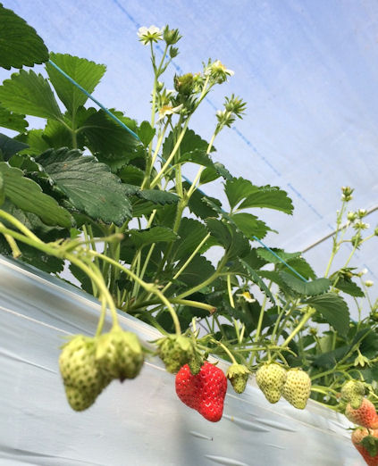 休日の一コマ　vol.69