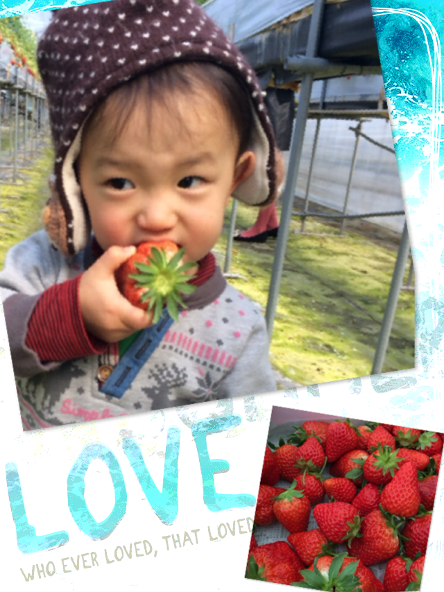 休日の一コマ　vol.69