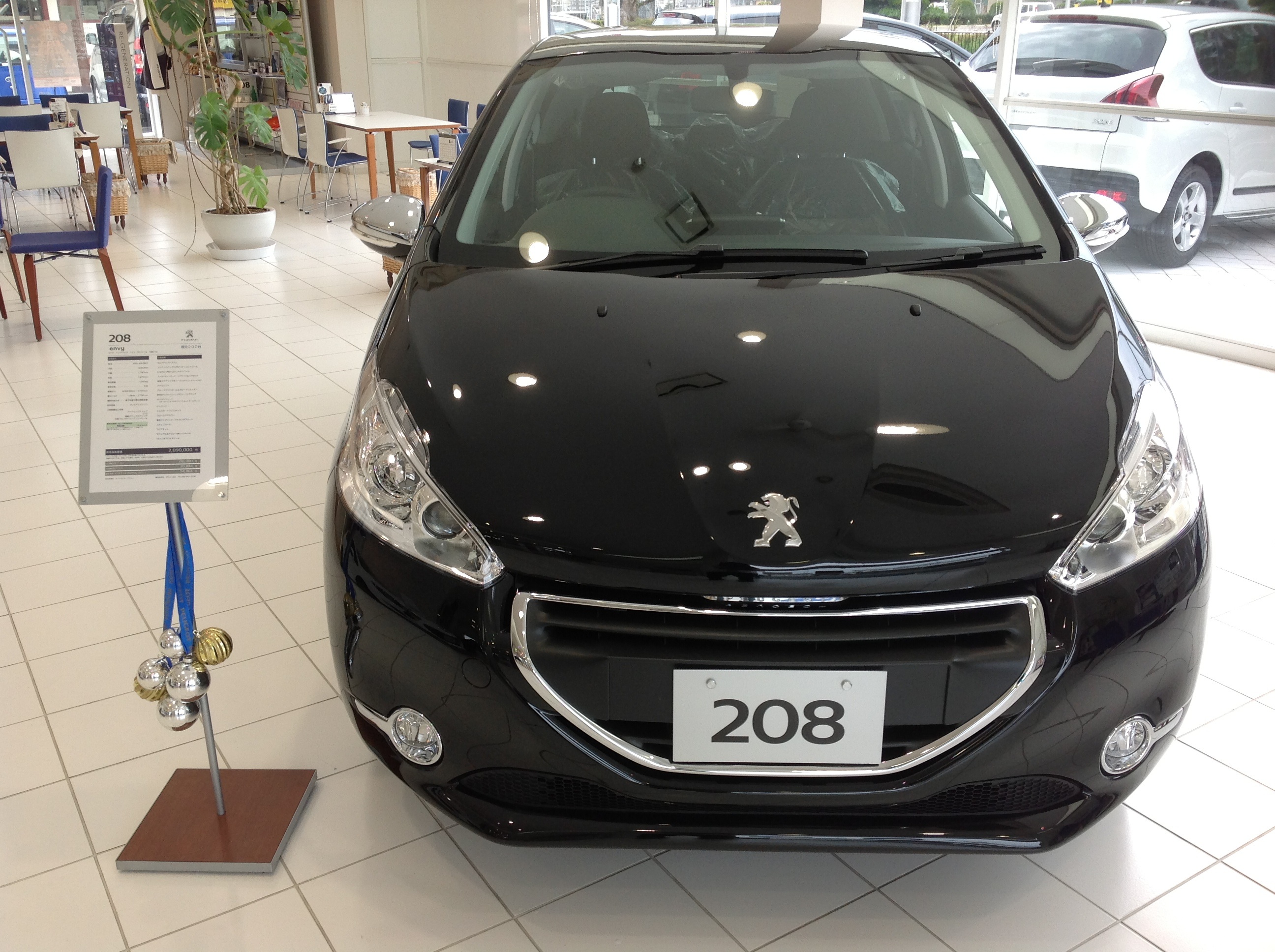 208envy
