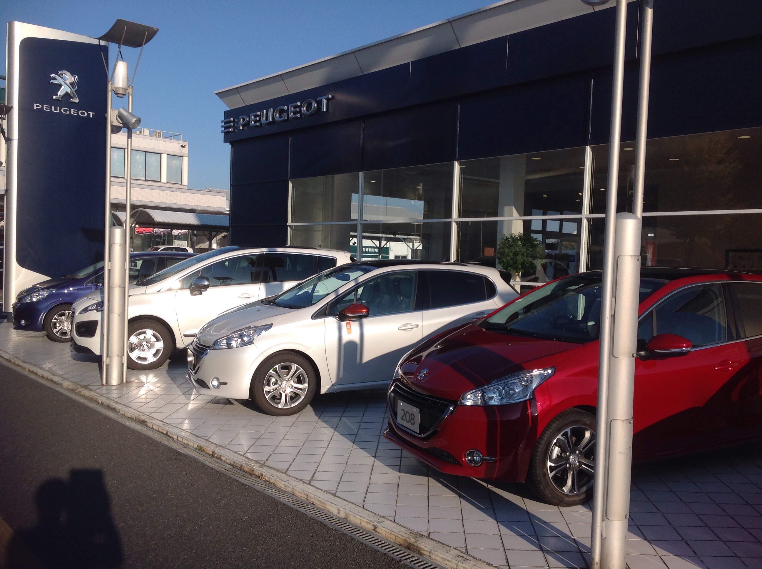 展示車一新