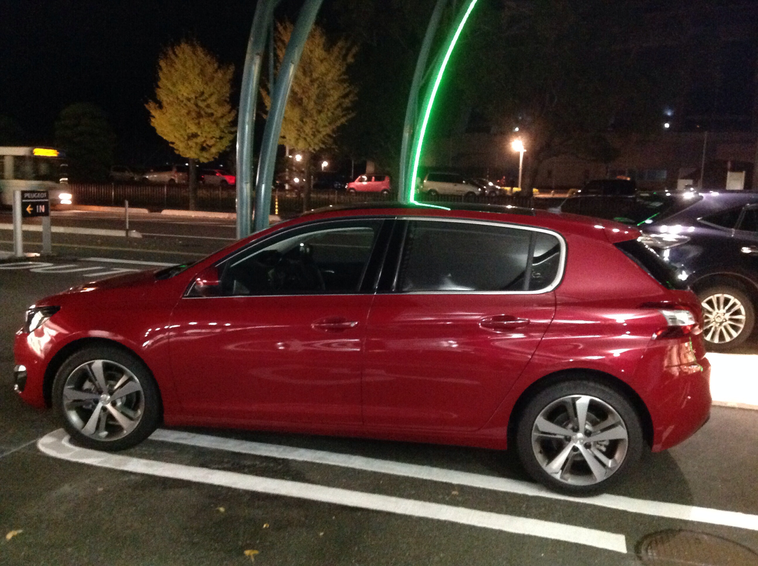NEW308