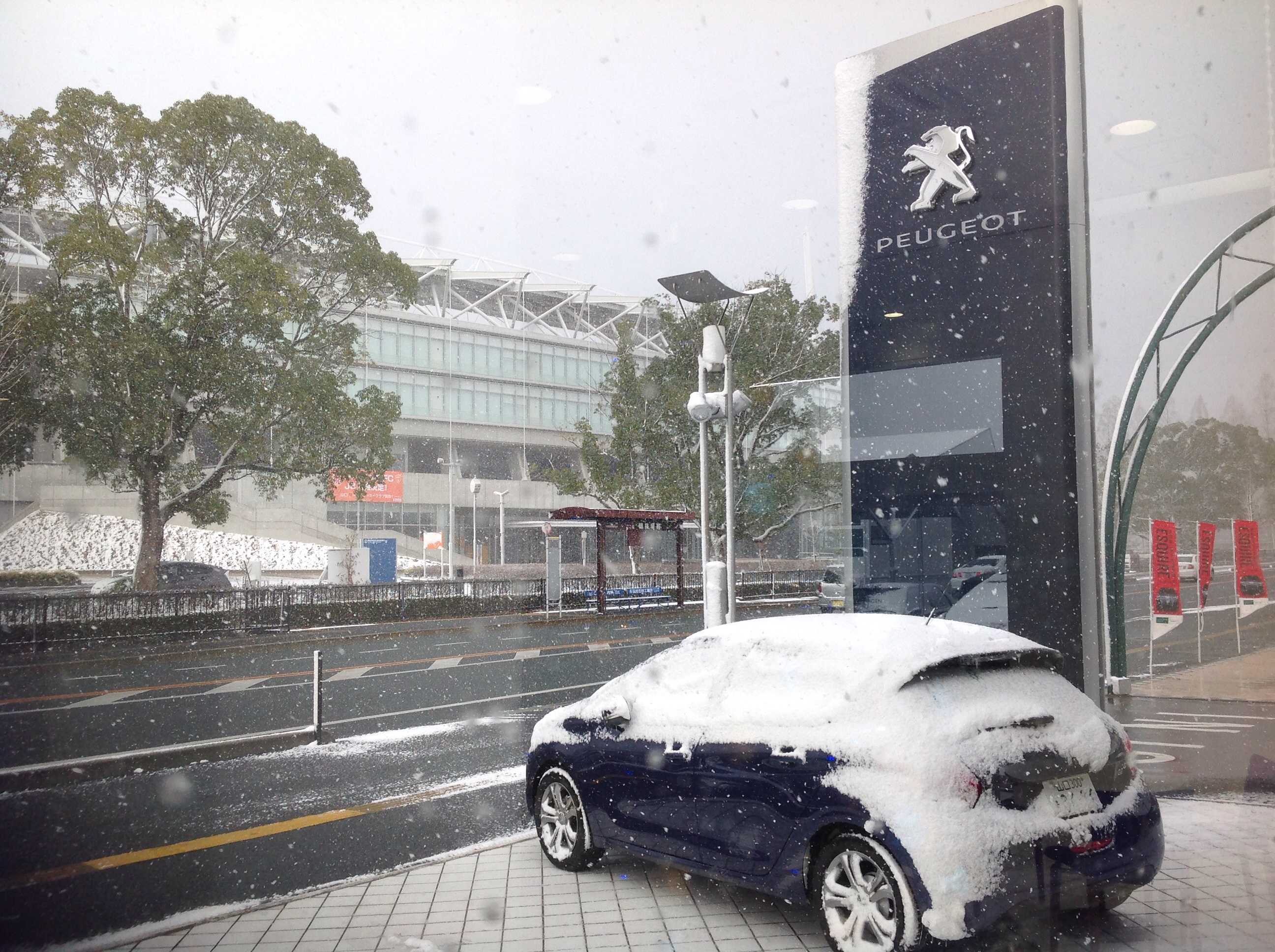 雪