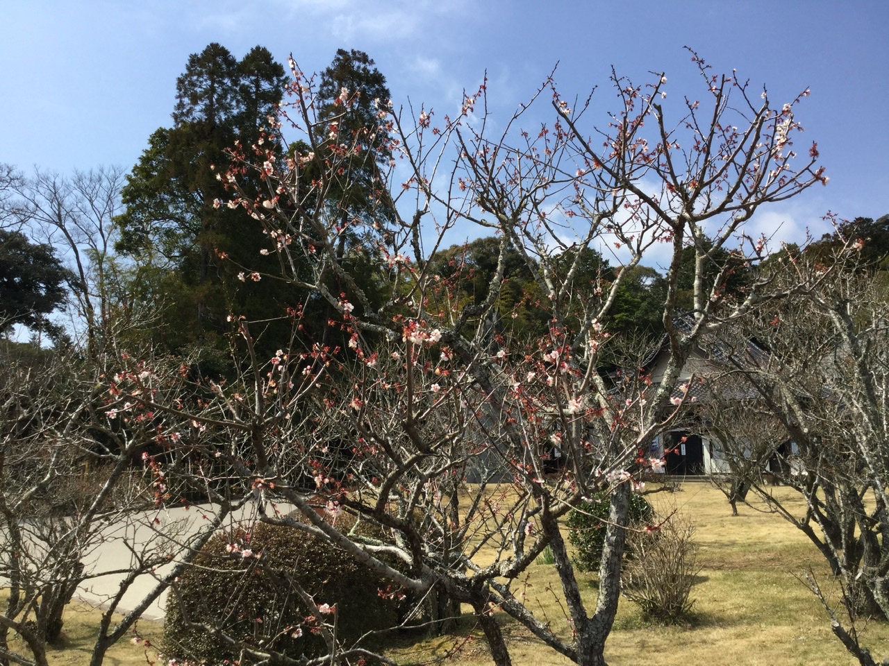 瑠璃光寺へピクニック